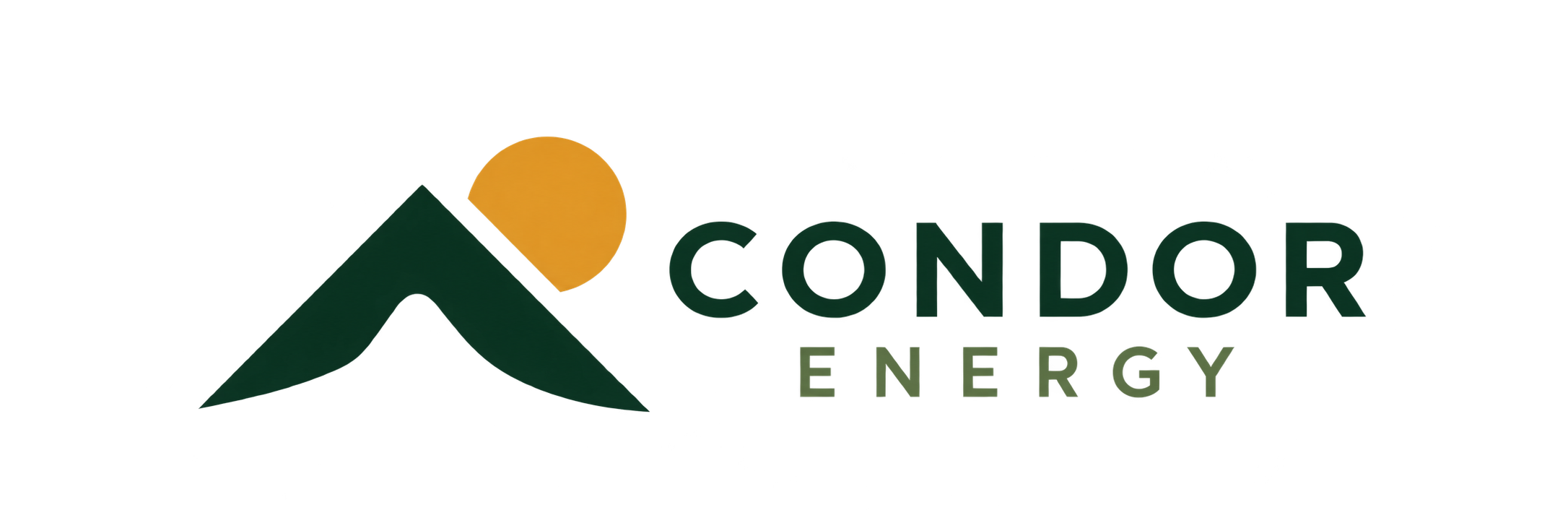 Condor Energy